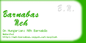 barnabas meh business card